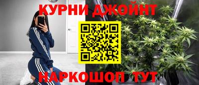 сатива Балахна