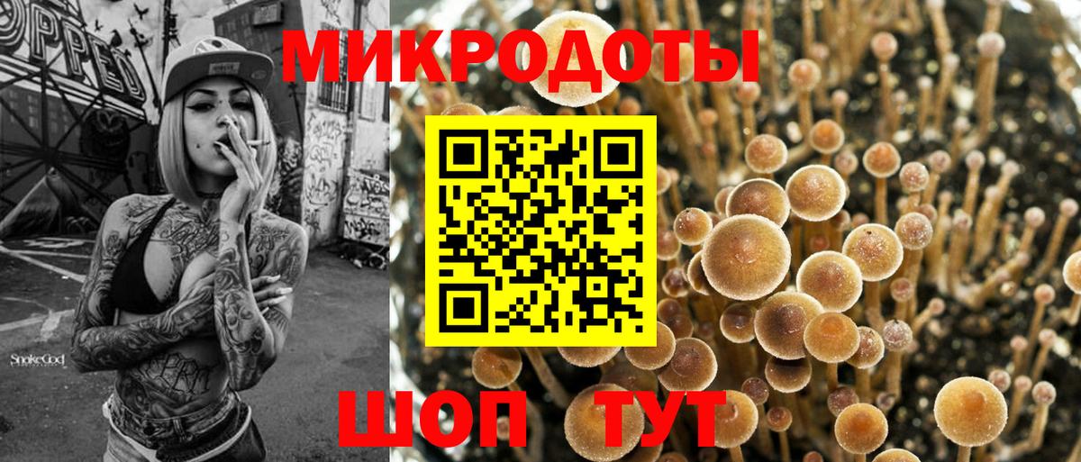 Псилоцибиновые грибы Psilocybe  Вход с VPN  Губкинский 
