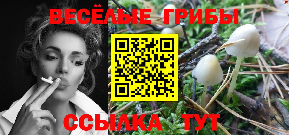 Псилоцибиновые грибы MAGIC MUSHROOMS Губкинский